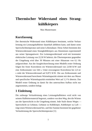 Erste Seite einer Arbeit, gesetzt in der Vorlage Fachbuch / Monographie